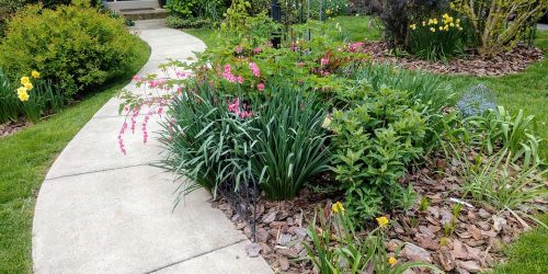 Landscape Design