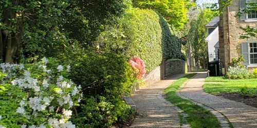 Landscape Design